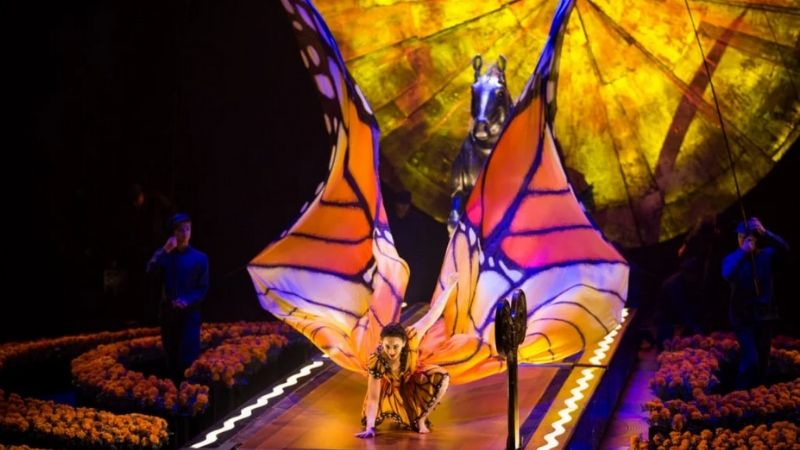 cirque du soleil