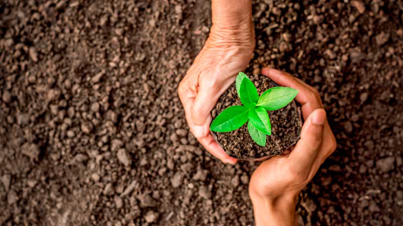 World Environment Day