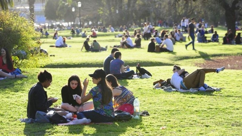 picnic
